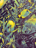 "Creature from the Black Lagoon" REGULAR (APs)