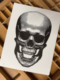 "Memento Mori" 9" x 12" Letterpress Print